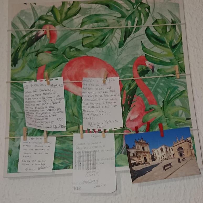 Nardò B&B Patty المظهر الخارجي الصورة